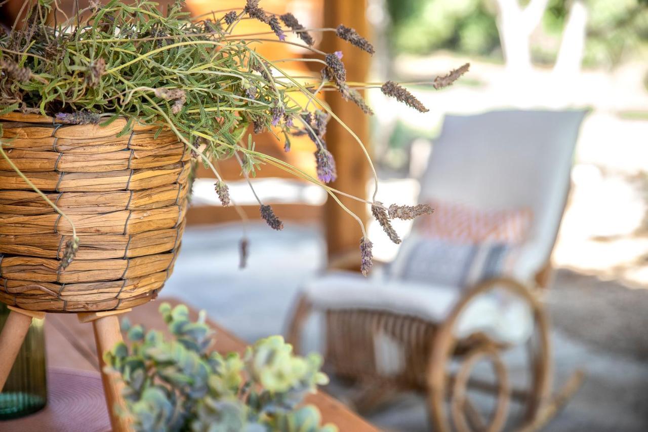 Sardinia Re - Casa Luisa With Pool Lägenhet Alghero Exteriör bild